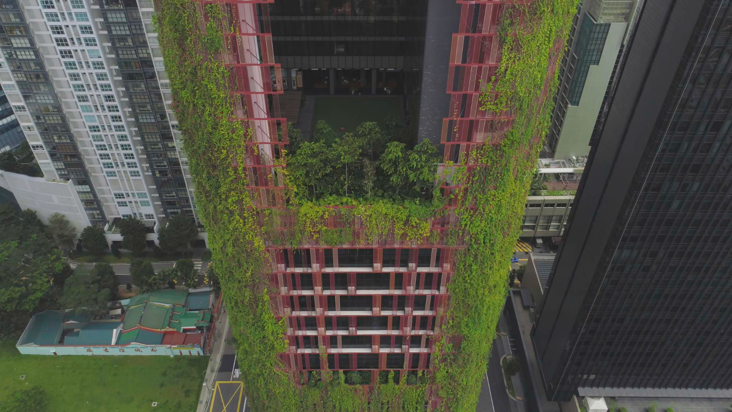 Biophilic design - biophiliczne projektowanie